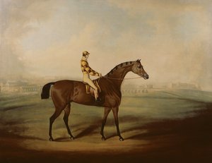 Portret Bruitandorfa z dżokejem i Chester Racecourse Beyond